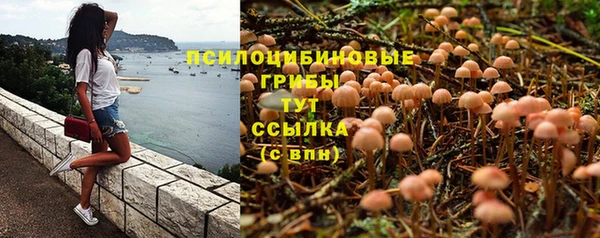 винт Алзамай