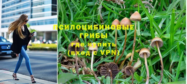apvp Абдулино